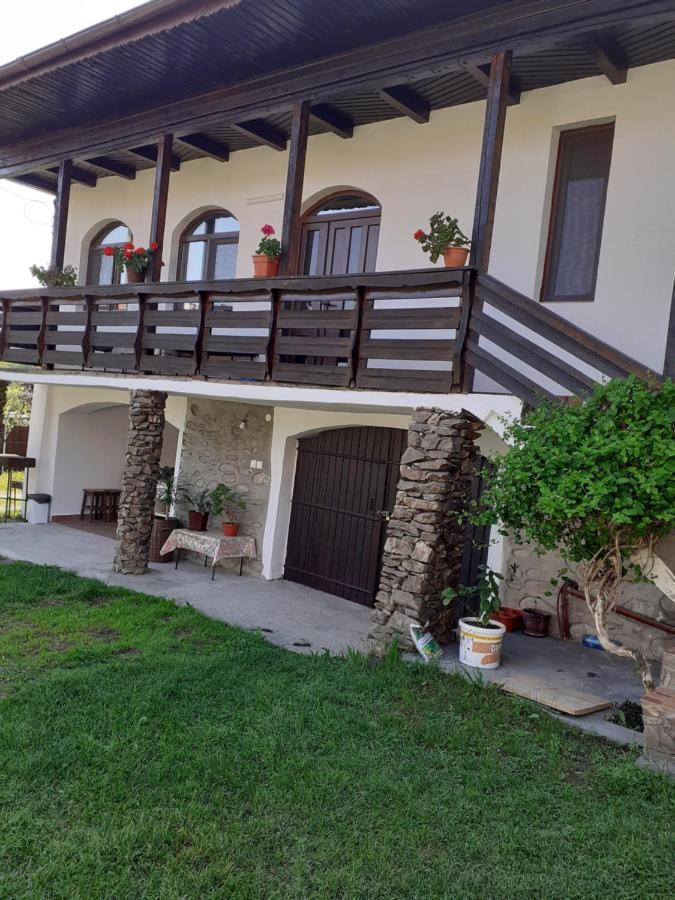 Casa De Vacanta Mirela Novaci-Străini Dış mekan fotoğraf