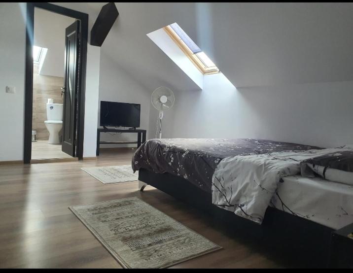 Casa De Vacanta Mirela Novaci-Străini Dış mekan fotoğraf
