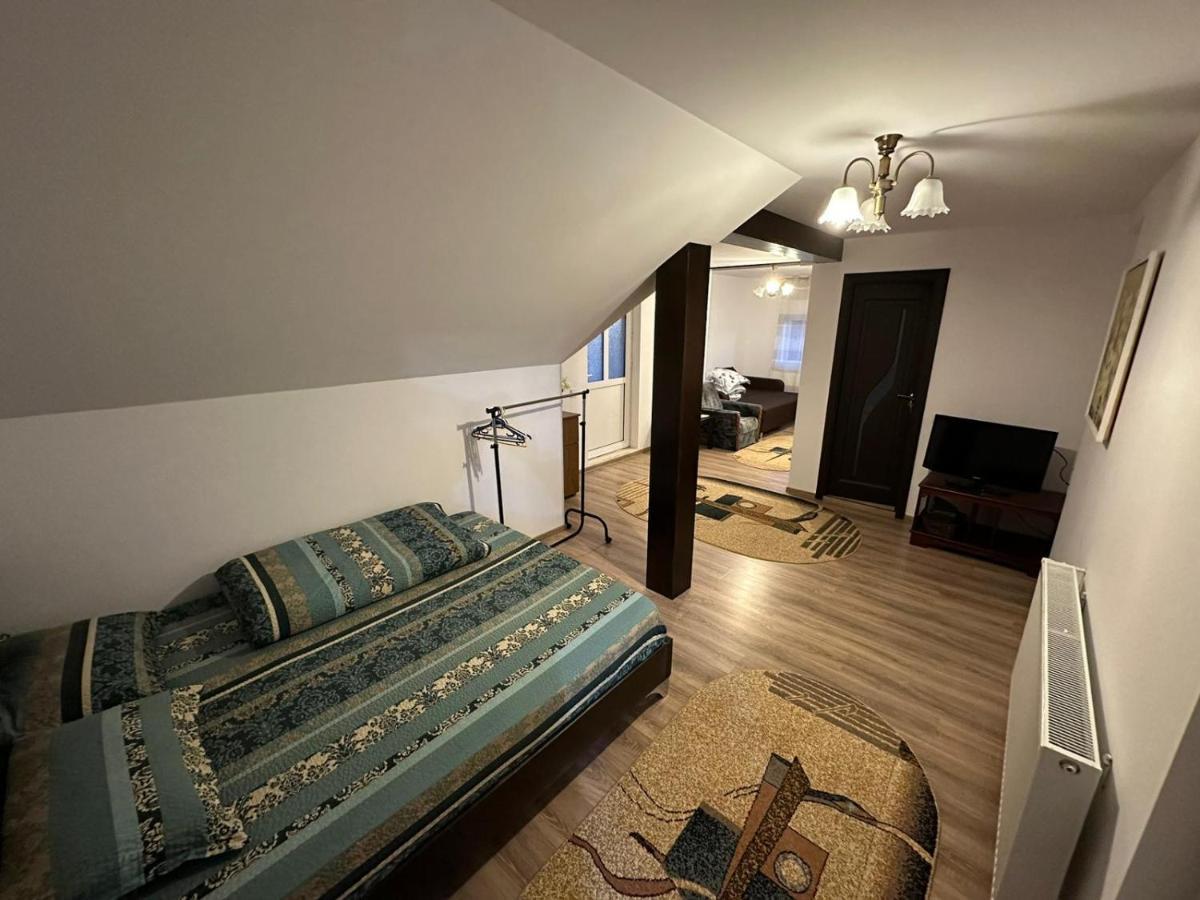 Casa De Vacanta Mirela Novaci-Străini Dış mekan fotoğraf