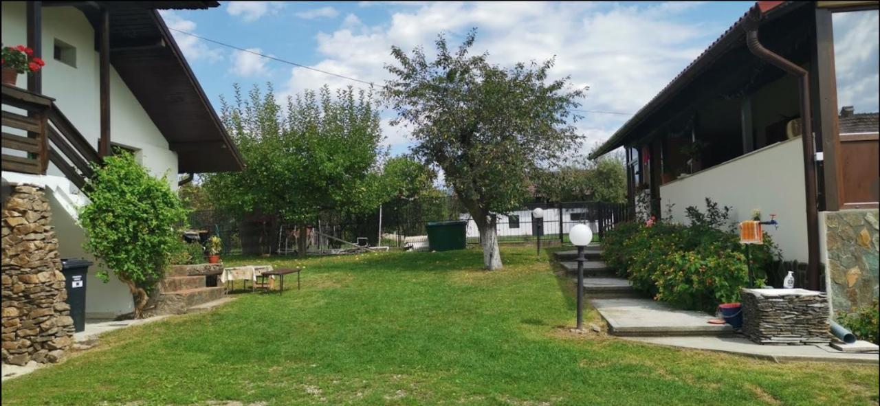 Casa De Vacanta Mirela Novaci-Străini Dış mekan fotoğraf