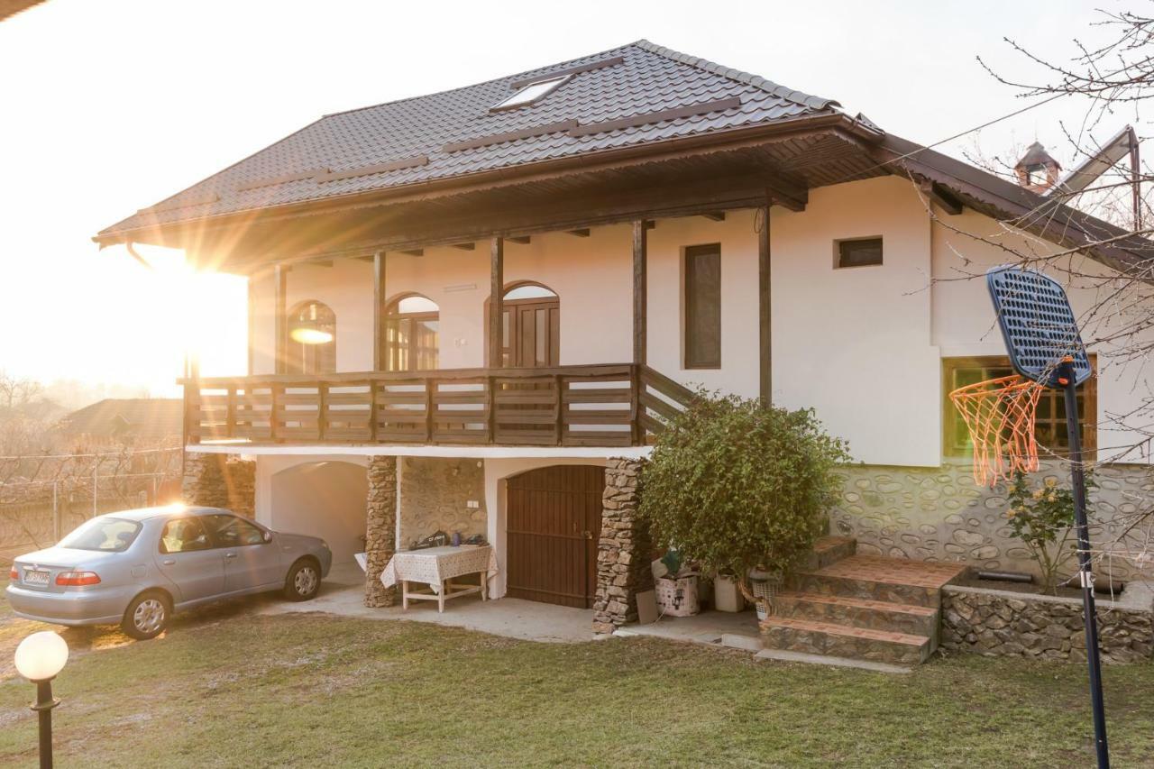 Casa De Vacanta Mirela Novaci-Străini Dış mekan fotoğraf