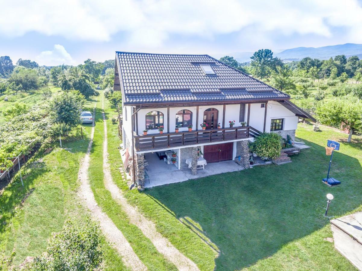 Casa De Vacanta Mirela Novaci-Străini Dış mekan fotoğraf