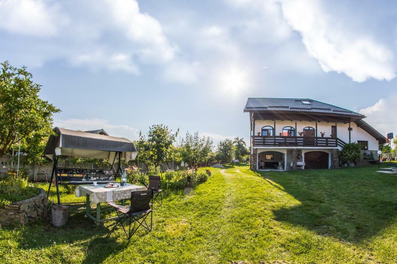 Casa De Vacanta Mirela Novaci-Străini Dış mekan fotoğraf